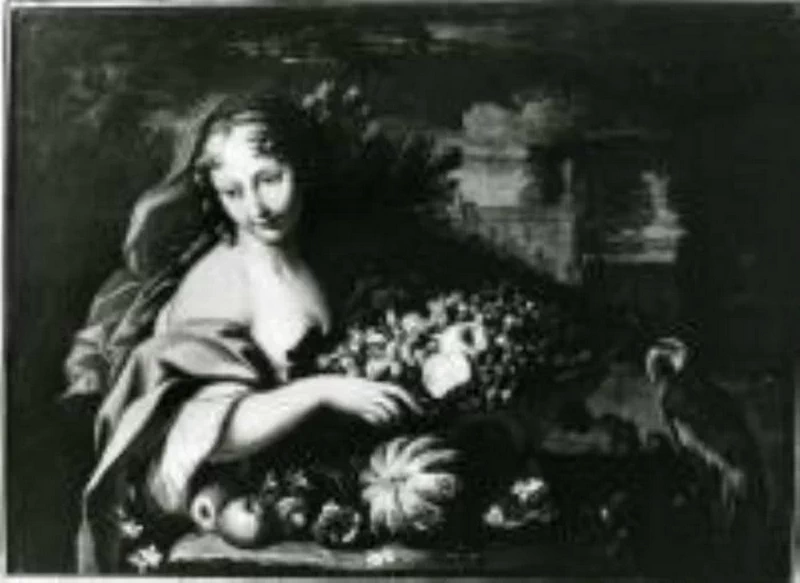 Natura morta - Firenze